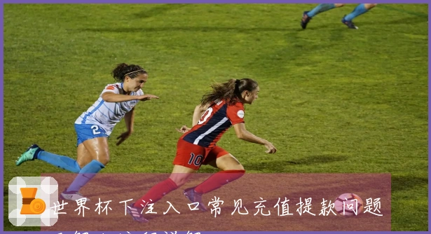 世界杯下注入口常见充值提款问题及解决流程详解