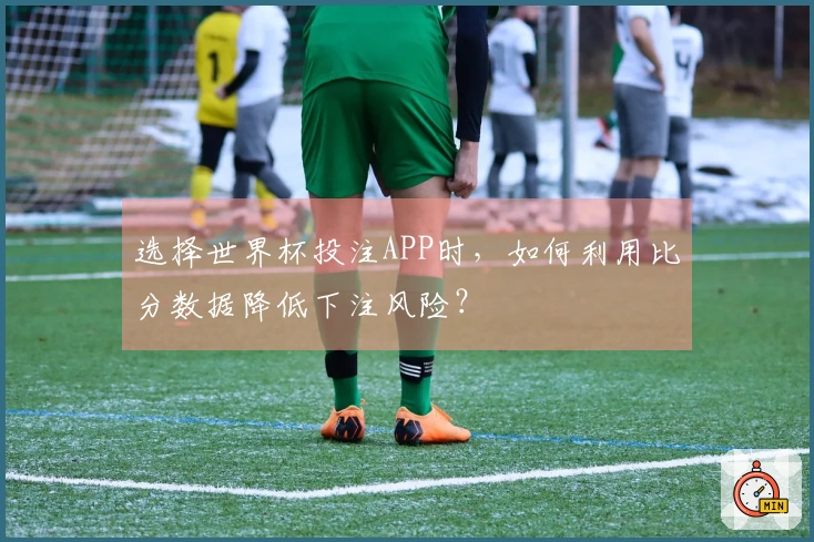 选择世界杯投注APP时，如何利用比分数据降低下注风险？