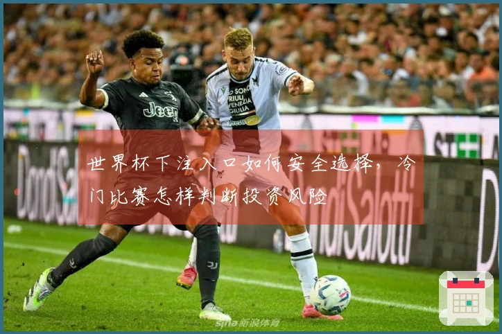世界杯下注入口如何安全选择，冷门比赛怎样判断投资风险
