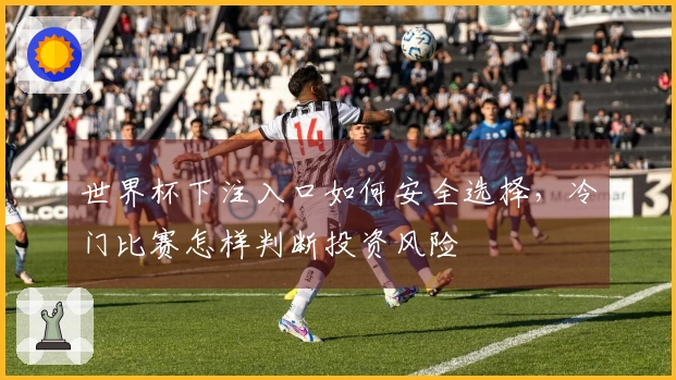 世界杯下注入口如何安全选择，冷门比赛怎样判断投资风险