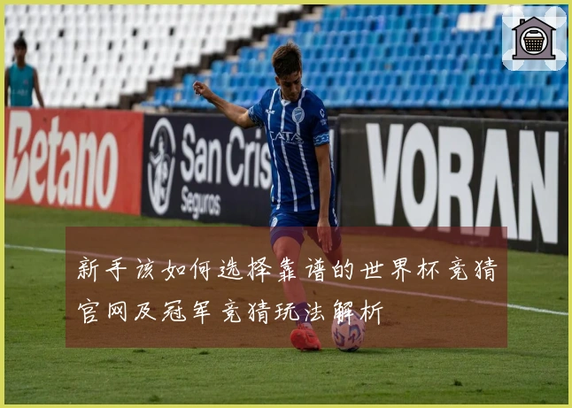 新手该如何选择靠谱的世界杯竞猜官网及冠军竞猜玩法解析