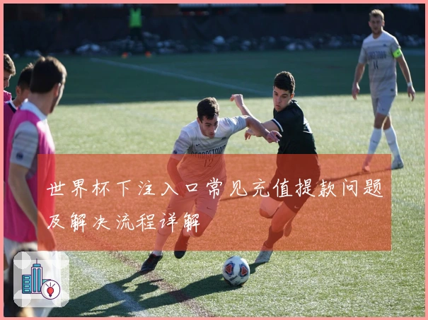 世界杯下注入口常见充值提款问题及解决流程详解