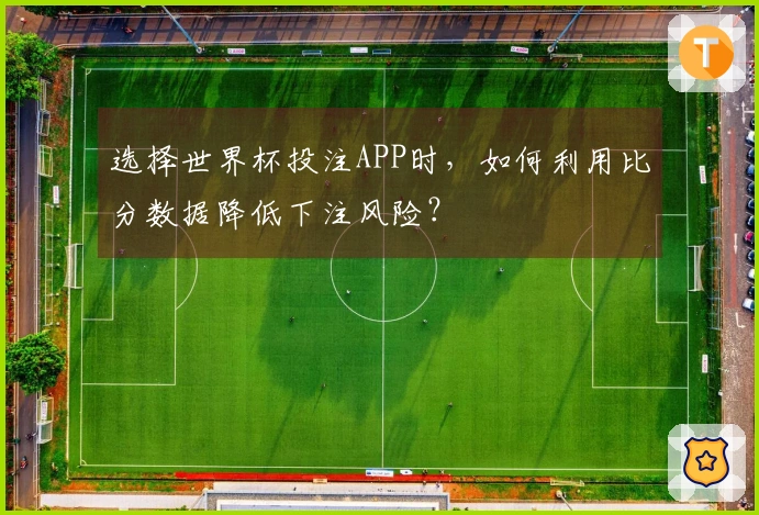 选择世界杯投注APP时，如何利用比分数据降低下注风险？
